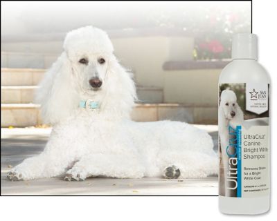 Image showing  Canine Bright White Shampoo for Dogs, 16 oz.