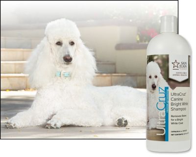 Image showing  Canine Bright White Shampoo for Dogs, 32 oz.