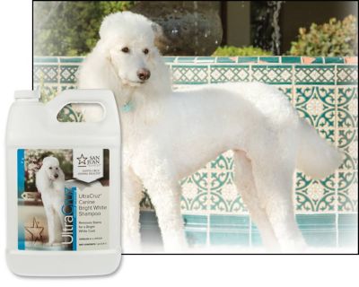 Image showing  Canine Bright White Shampoo for Dogs, 1 gal.