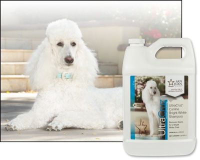 Image showing  Canine Bright White Shampoo for Dogs, 1 gal.