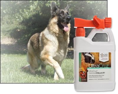 Image showing  Canine Z-Skunk'R Odor-Neutralizing Foaming Natural Essential Oils Scented Shampoo for Dogs, 32 oz.