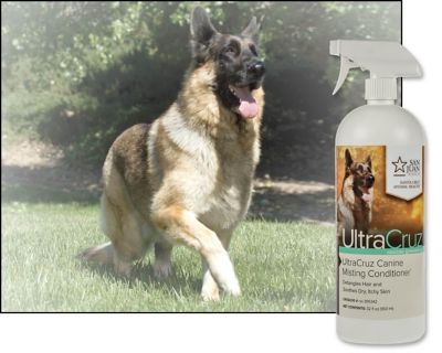 Image showing  Canine Sage/Cucumber Scented Misting Dog Conditioner for Dogs, 32 oz.
