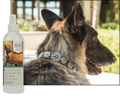 Image showing  Canine Natural Flea and Tick Spray for Dogs, 16 oz.