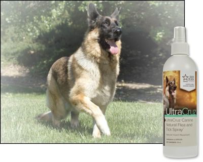 Image showing  Canine Natural Flea and Tick Spray for Dogs, 16 oz.