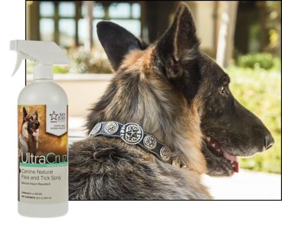 Image showing  Canine Natural Flea and Tick Spray for Dogs, 32 oz.