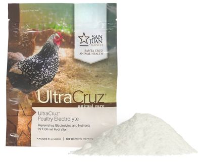 UltraCruz Poultry Electrolyte Supplement for Chickens, 1 lb.