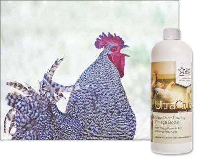 Image showing  Poultry Omega Boost Supplement for Chickens, 32 oz.