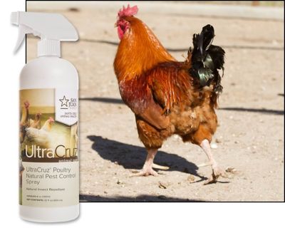 Image showing  Poultry Natural Pest Control Fly Spray for Chickens, 32 oz.