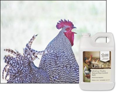 Image showing  Poultry Natural Pest Control Fly Spray for Chickens, 1 gal. Pest Control Refill