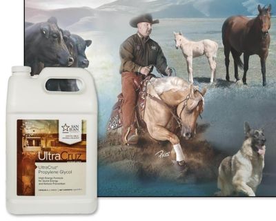 Image showing  Propylene Glycol for Cattle, Goats, Sheep and Pigs, 1 gal.