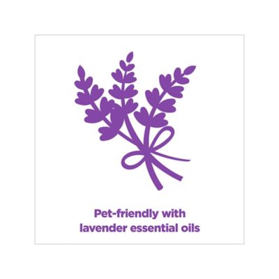 Image showing  Forever Fresh Clumping Cat Litter Lavender, MultiCat 40 lb., Pet Friendly with Essential Oils