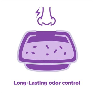 Image showing 5 th Arm & Hammer Forever Fresh Clumping Cat Litter Lavender, MultiCat 40 lb., Pet Friendly with Essential Oils