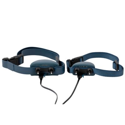 Image showing  Remote Trainer USB Adaptor for PetSafe 100, 300, 600 and 900 Yard Remote Trainers and Lite Remote Trainers