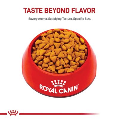 Image showing  Feline Health Nutrition Indoor Adult Dry Cat Food