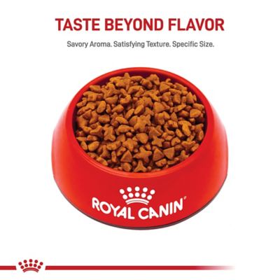 Image showing  Feline Health Nutrition Adult Sensitive Digestion Dry Cat Food