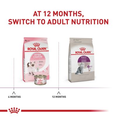 Image showing 6 th Royal Canin Feline Health Nutrition Adult Sensitive Digestion Dry Cat Food