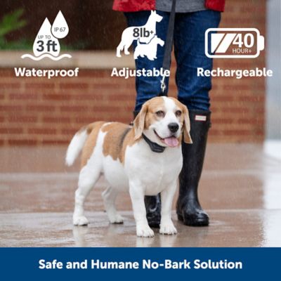 Image showing  Audible Bark Dog Collar