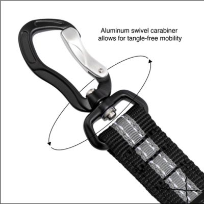 Image showing  Direct to Latch Dog Seat Belt