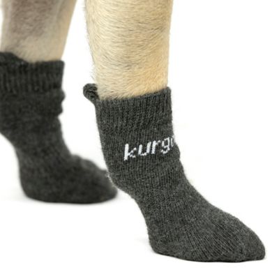 Image showing  Blaze Dog Socks
