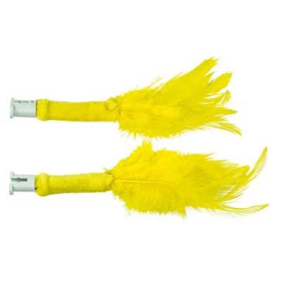 PetSafe Peek-A-Bird Cat Toy Replacement Feathers, 2-Pack
