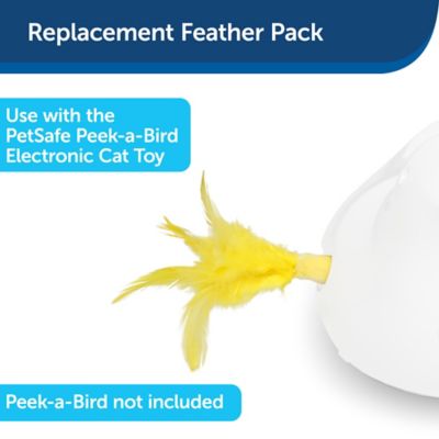 Image showing  Peek-A-Bird Cat Toy Replacement Feathers, 2-Pack