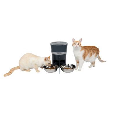 Image showing 6 th PetSafe 2-Pet Meal Splitter with Bowl