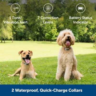 Image showing  500 ft. Classic In-Ground Fence, 2 Dog