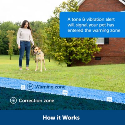 Image showing  500 ft. Classic In-Ground Fence, 2 Dog