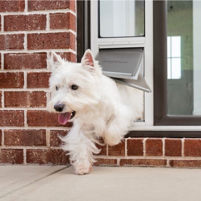 PetSafe Extreme Weather Sliding Glass Pet Door at Tractor Supply Co