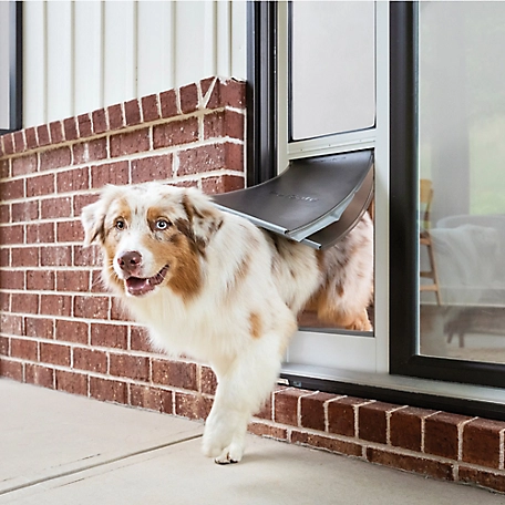 PetSafe Extreme Weather Sliding Glass Pet Door, Large