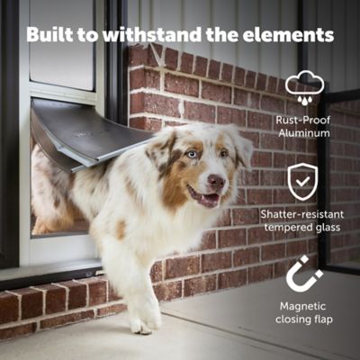Image showing 5 th PetSafe Extreme Weather Sliding Glass Pet Door, Medium