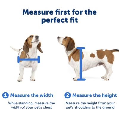 Image showing 7 th PetSafe Extreme Weather Sliding Glass Pet Door, Medium