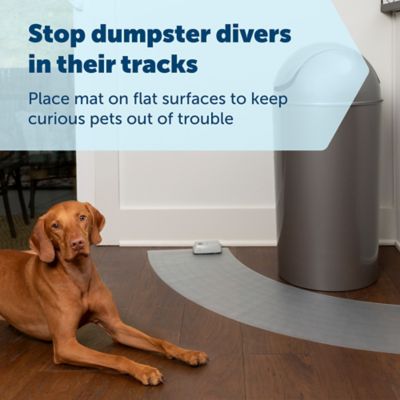 Image showing  ScatMat Indoor Curved Training Mat, 50 in. x 12 in.