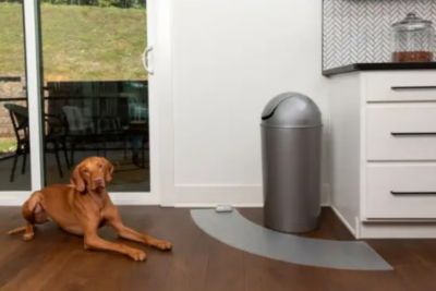 Image showing  ScatMat Indoor Curved Training Mat, 50 in. x 12 in.