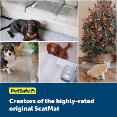 Image showing 5 th PetSafe ScatMat Indoor Curved Training Mat, 50 x 12in.