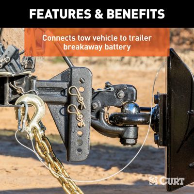 Image showing  Breakaway Switch