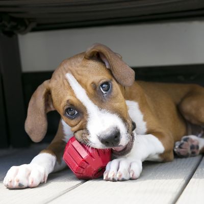 Image showing  Stuff A Ball Med KS2