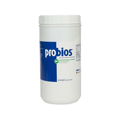 Probios Dispersible Cattle Appetite Enhancer Powder, 5 lb.