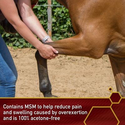 Image showing  Vita Flex Thermaflex Liniment Gel for Horses, 12 oz.