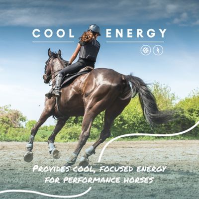 Image showing  Cool Calories 100 Dry Fat Horse Supplement