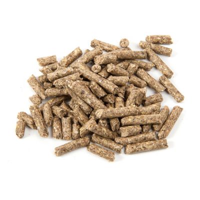 Image showing Positive Goat Wormer 25