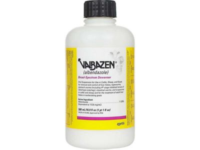 Zoetis Valbazen Broad Spectrum Cattle Dewormer Liquid, 500 mL