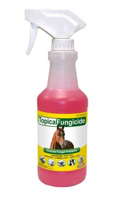 Durvet Topical Fungicide, 16 oz.