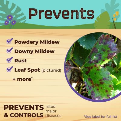 Image showing 5 th Bonide 16 oz. Captain Jack's Neem Max Concentrate for Plants, Organic Cold Pressed Neem Oil Spray