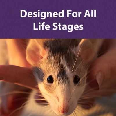 Image showing  Pelleted Rat and Mouse Food, 25 lb. Bag