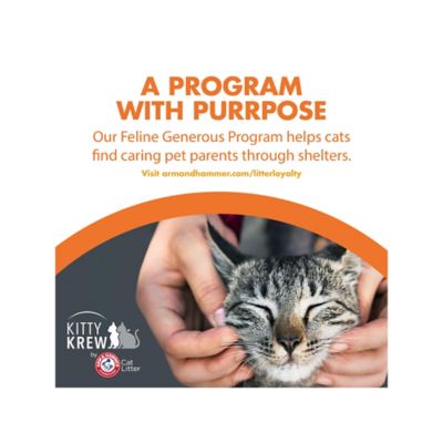 Image showing 7 th Arm & Hammer Feline Pine Original Unscented Non-Clumping Cat Litter, 20 lb. Bag