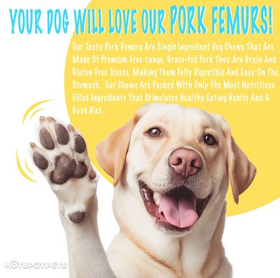 Image showing 5 th Hotspot Pets 6-8 in. Large Pork Femur Dog Treats, 3 ct.