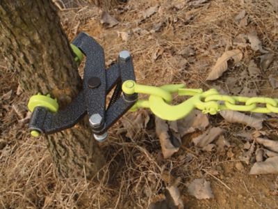 Image showing  Original Brush Removal Tool