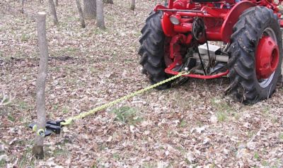 Image showing  Brush and Tree Remover Tugger Chain