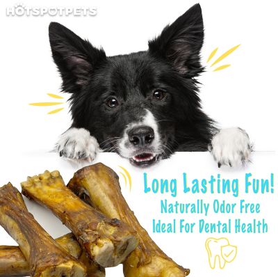Image showing 5 th Hotspot Pets 8-10-in Large Meaty Beef Shin Bone Dog Treat, 1 ct.